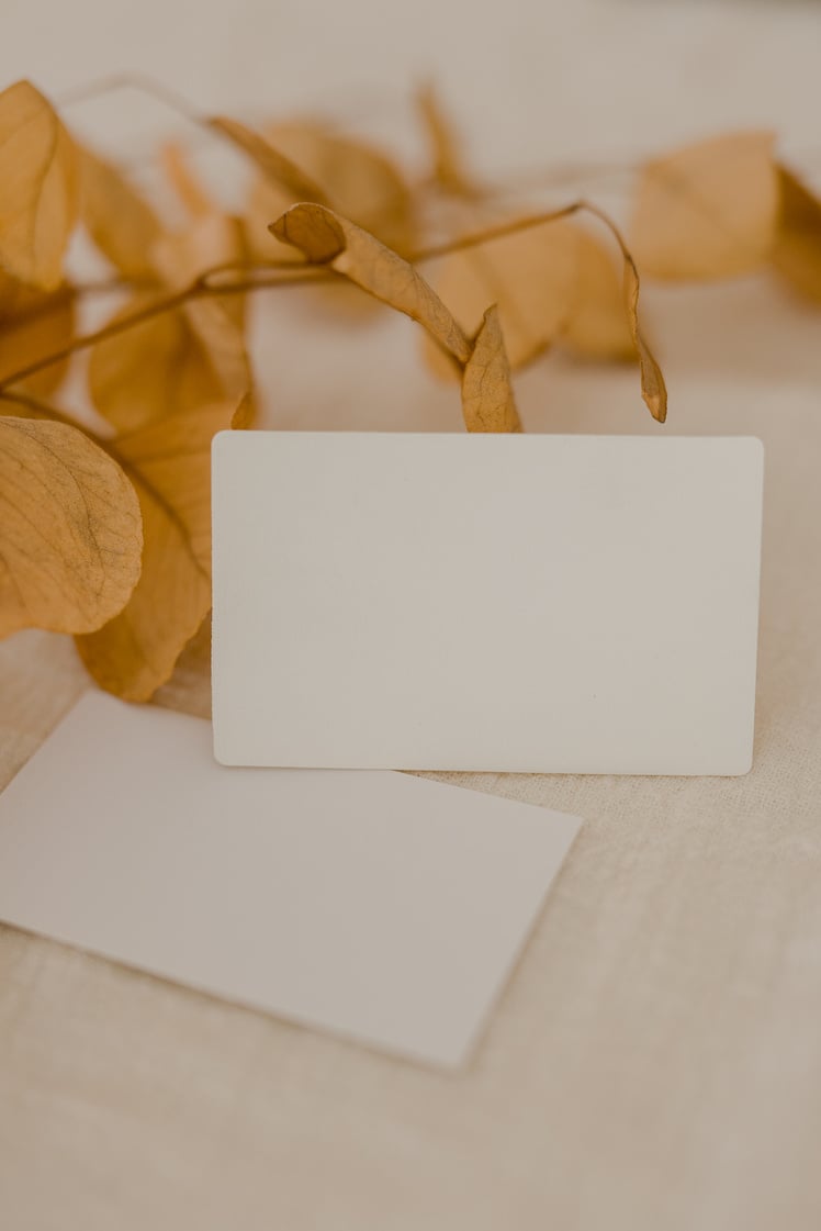 Neutral Minimalist Business Card Mockup with dried flowers